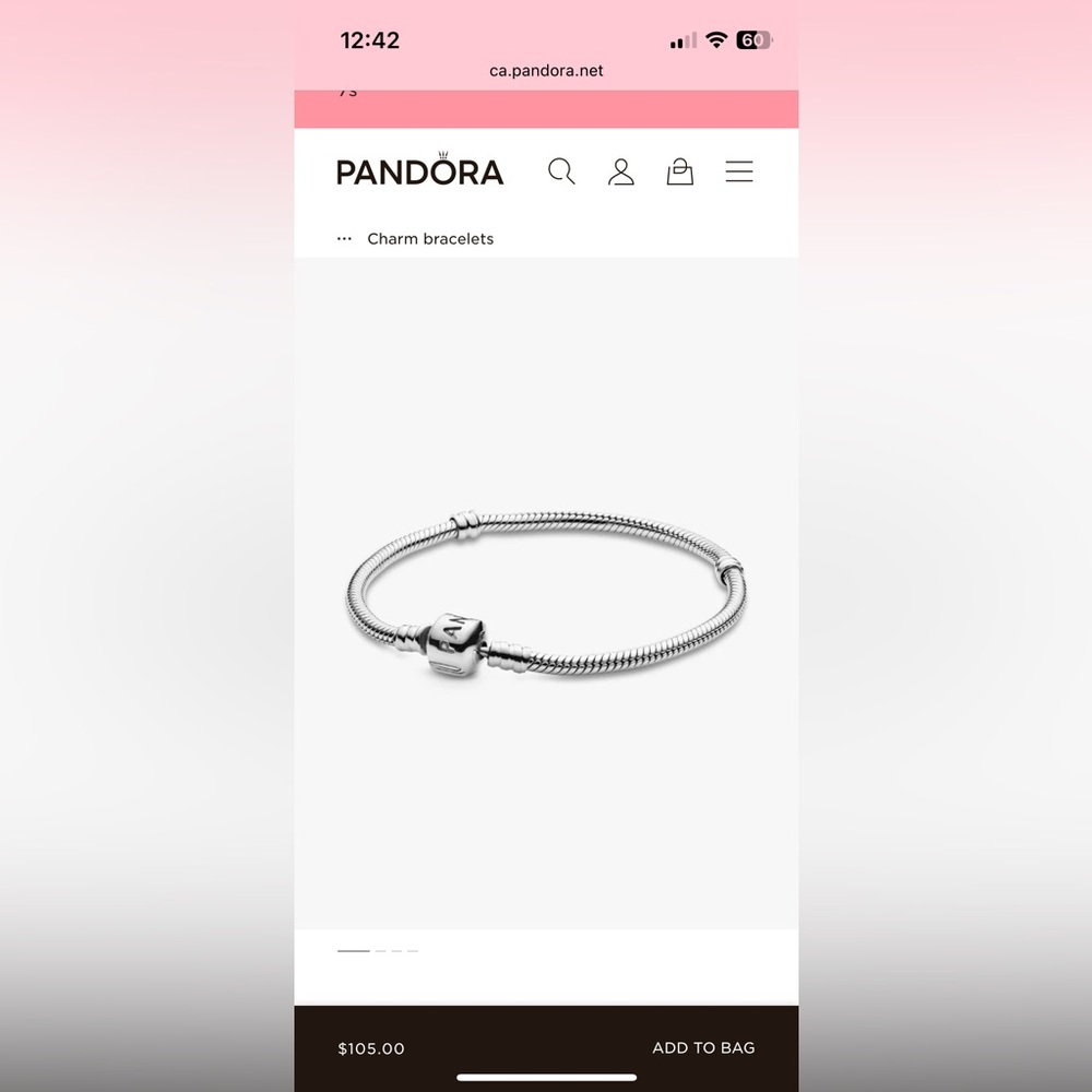 Pandora charm bracelet